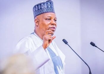 Shettima: Nigeria ready to work with AU for continental health security