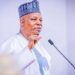 Shettima: Nigeria ready to work with AU for continental health security