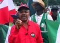 NLC demands end to power privatisation, condemns N3trn GenCo bailout