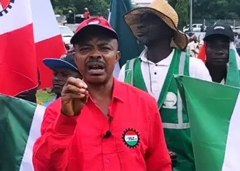 NLC demands end to power privatisation, condemns N3trn GenCo bailout