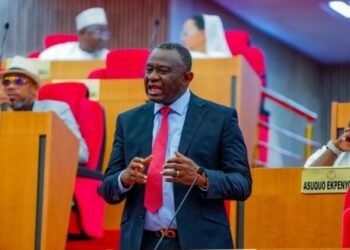 Senator Karimi seeks constitution’s alteration to increase FG’s revenue allocation