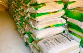 Lent, Ramadan: Nwoko supports constituents in Abuja with 600 bags of rice
