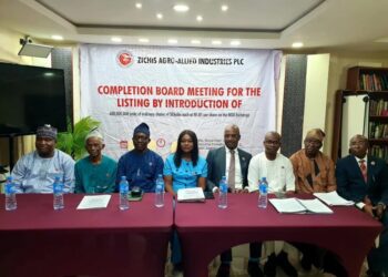 Zichis Stocks under investigation by NGX after 859% rise in one month