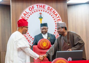 Senate approves appointment of Kayode Oyewole to Supreme Court Bench