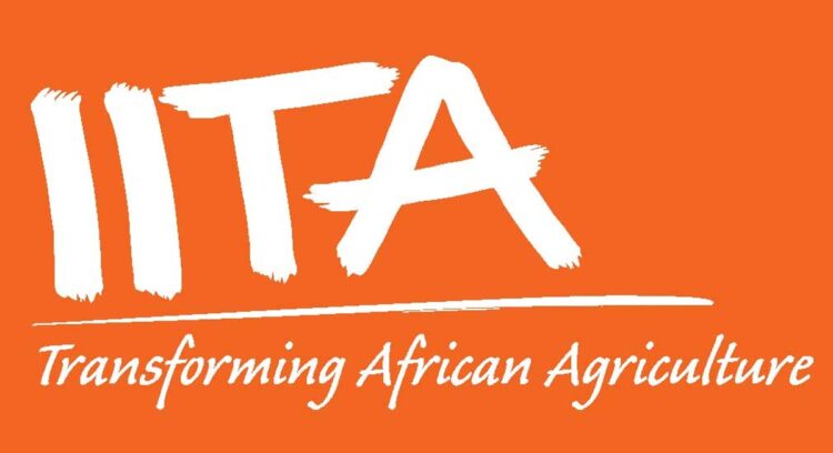 IITA in partnership to revolutionise banana farming in Africa