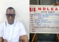 NDLEA nabs wanted drug lord, Uzoma Valentine Ilomuanya