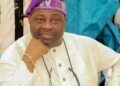 Femi Fani-Kayode: When will You Stop Being a Thug? By Dele Momodu