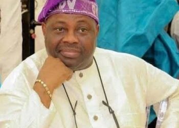 Femi Fani-Kayode: When will You Stop Being a Thug? By Dele Momodu