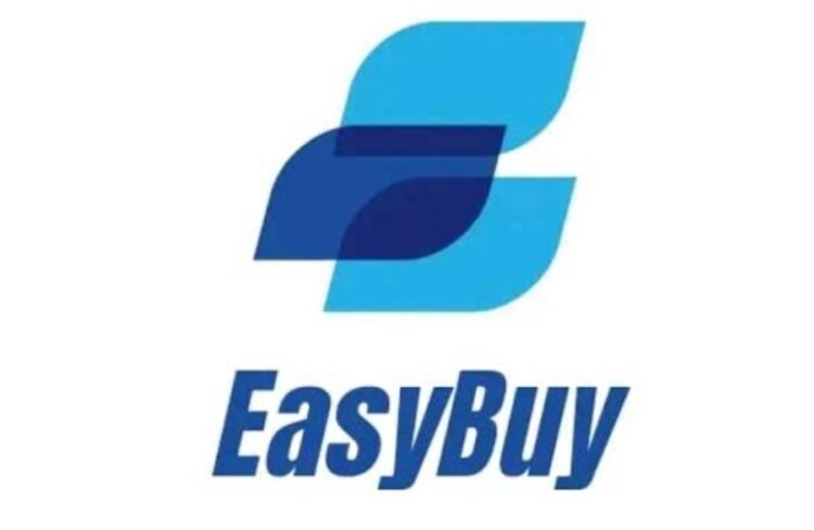 Easybuy to recruit 10,000 sales reps across Nigeria in 2026