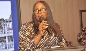 FAAN outlines airport upgrades, private funding push