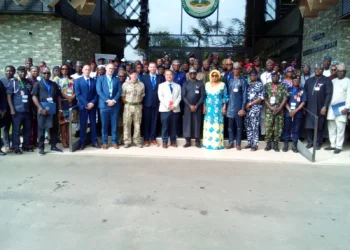 Nigeria seeks collaboration of Sahel States against evolving IED threats