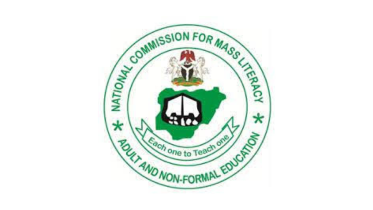 Illiteracy: NMEC unveils plan to reach 300,000 learners