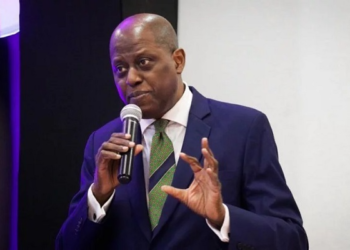 FX market reforms raise capital inflows by 200% – Cardoso