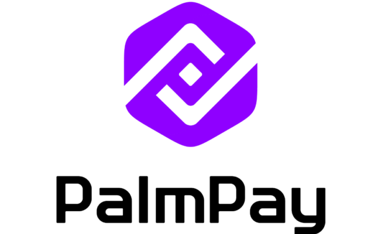 PalmPay marks IWD with tech training for women