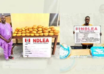 NDLEA arrests ex-Lagos councillor with 40kg skunk, recovers drugs in diapers