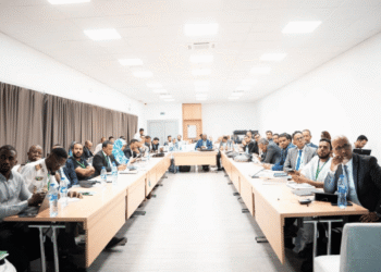 Mauritania moves to standardize public digital services with national framework initiative