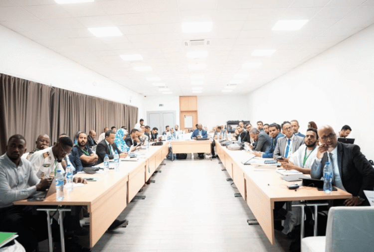 Mauritania moves to standardize public digital services with national framework initiative