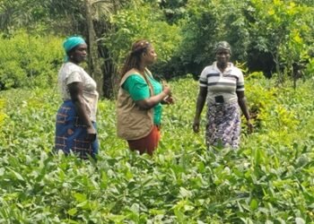 Côte d’Ivoire launches tech hubs to empower Women farmers
