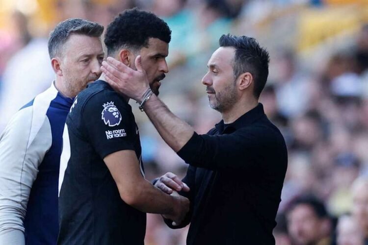 De Zerbi gives injury update on Solanke and Simons after Wolves win