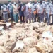 Nigeria Customs seizes smuggled donkey skin, PMS worth N98.3 million in Adamawa