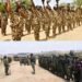 “We received only 117 applications out of 38,000” – Nigerian Army cries out over low South-east recruitment 