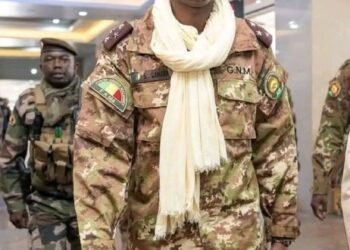 Mali defence minister killed in coordinated attack near Bamako
