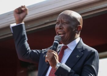 South Africa’s Julius Malema jailed five years on gun charges
