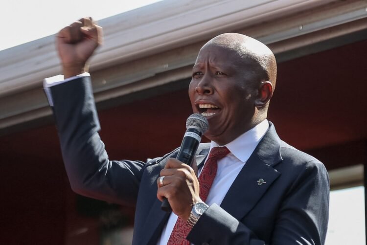 South Africa’s Julius Malema jailed five years on gun charges