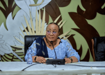 DR Congo launches digital portal to modernise higher education and research system