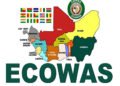 ECOWAS moves to adopt binding charter on maternal mortality