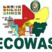 ECOWAS moves to adopt binding charter on maternal mortality