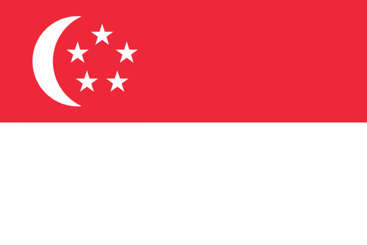 Singapore to grant up to 40,000 PR approvals yearly amid workforce concerns