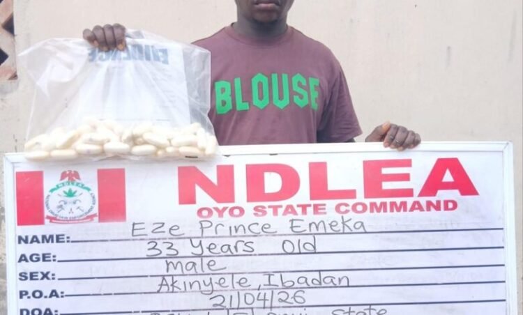 33-year-old Cocaine Courier excretes 45 pellets in Ibadan as NDLEA uncovers multi-state drug network