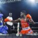 Commonwealth 2026: Preparations begins as NBF assembles 40 boxers