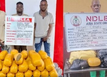NDLEA arrests 93-year-old man, 69-year-old doctor over drug trafficking