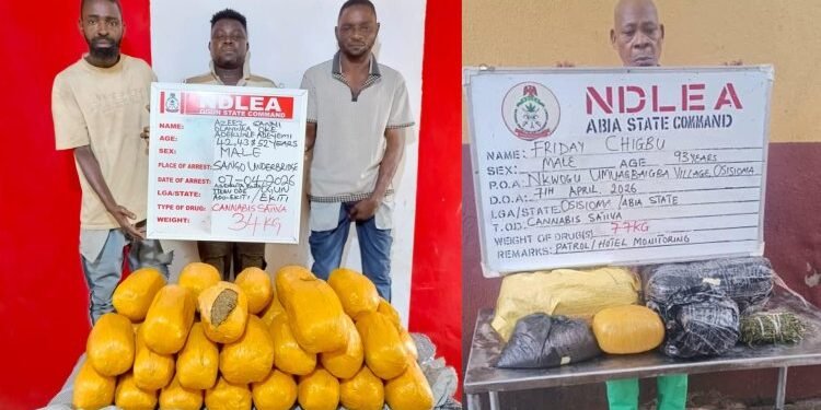 NDLEA arrests 93-year-old man, 69-year-old doctor over drug trafficking