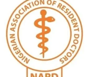 NARD suspends planned nationwide strike after FG commitments