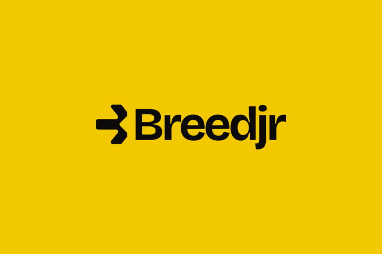 Breedjr tops $4m in Crypto-to-naira payouts, unveils faster settlement upgrade