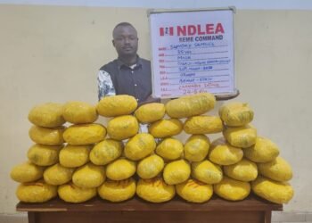 NDLEA intercepts cocaine, arrests kingpin in Lagos