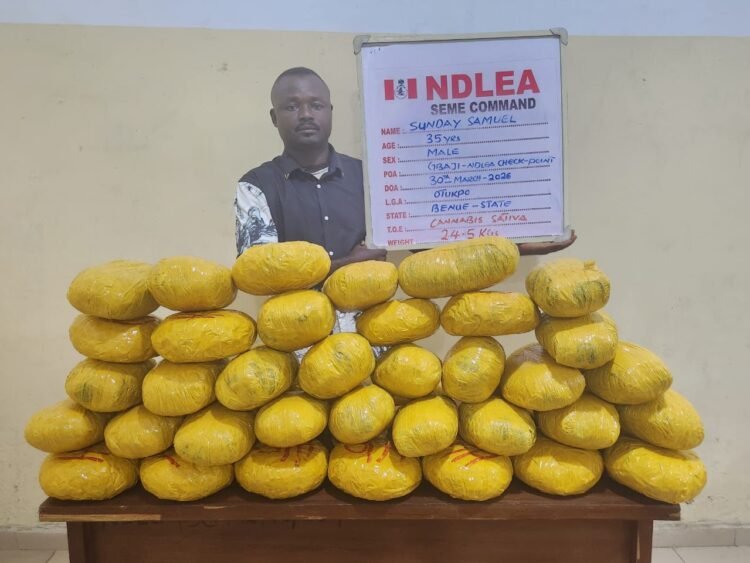 NDLEA intercepts cocaine, arrests kingpin in Lagos