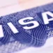 10 Indians held in visa fraud conspiracy