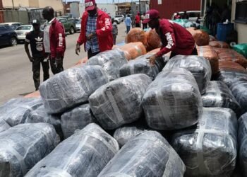 NDLEA Intercepts N10.4bn Canadian Loud at Lagos Port