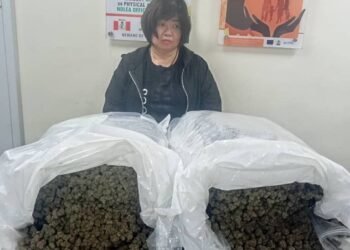 Photos: NDLEA arrests Chinese woman with 31kg Cannabis at Lagos Airport