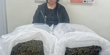Photos: NDLEA arrests Chinese woman with 31kg Cannabis at Lagos Airport