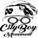 Tinubu’s re-election: Senator Akintunde pledges 5 buses to City Boy Movement