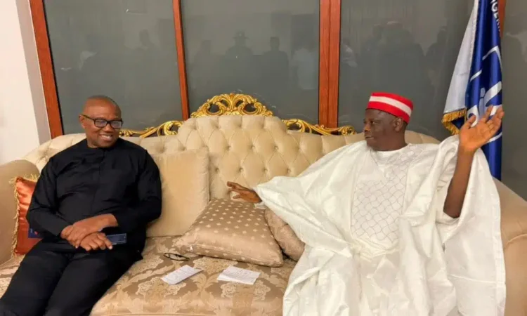 Peter Obi picks Kwankwaso As presidential running mate