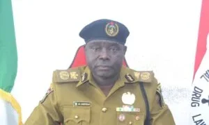 NDLEA arrests 533 suspects, seizes N1.6bn drugs in Oyo