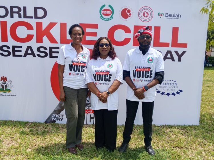 Late sickle cell diagnosis killing Nigerian children -Prof Nnodu