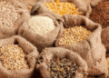 Food prices increase in March 2026- NBS