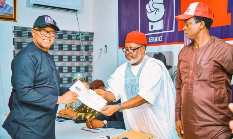 NDC adopts Peter Obi as sole Presidential aspirant